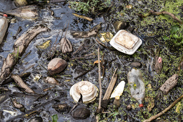 Various kinds of trash waste objects a lot floating in the pond mixed with aquatic plants.