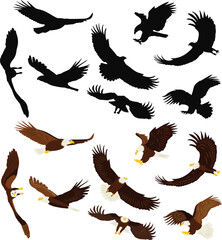 collection of birds eagles silhouette on white background, vector
