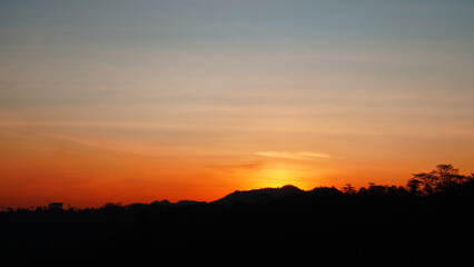 Fototapeta premium sunset in the forest