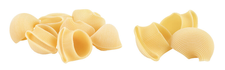 lumaconi pasta isolated on white background with full depth of field