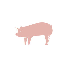 Domestic pig, swine for animal, food, vector illustration
