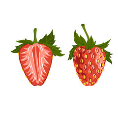 vector drawing red strawberry with green leaves, isolated at white background, hand drawn illustration