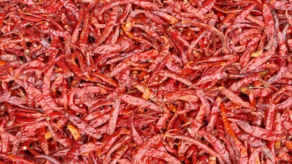 dried red chili pepper background