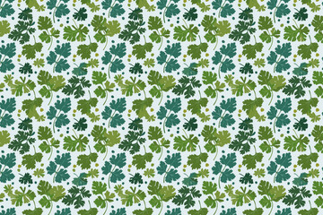 Seamless pattern with leaves of coriander. Vector illustration.