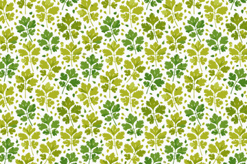 Coriander leaf seamless pattern. Vector illustration.