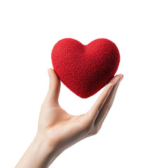 Obraz premium Hand holding a soft red heart symbolizing love and care