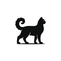 black cat silhouette