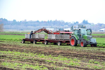 Fototapeta premium Farm tractor and equipment in the Holland Marsh in Ontario, Canada. Holland Marsh is a key source of food grown in the Greenbelt in Ontario.