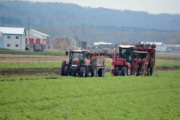 Farm tractor and equipment in the Holland Marsh in Ontario, Canada. Holland Marsh is a key source...