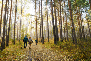 walking in the autumn woods