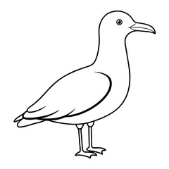 Minimalist Seagull Vector Illustration Ideal for Nature Lovers and Art Enthusiasts
