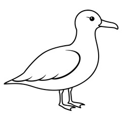 Elegant Seagull Vector Illustration Perfect for Coastal Themed Designs and Projects
