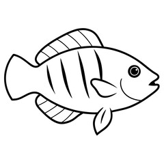 Stunning Cichlid Vector Illustration Showcasing Colorful Freshwater Beauty
