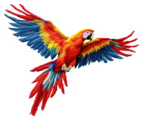 PNG Flying parrot in embroidery style animal bird creativity.