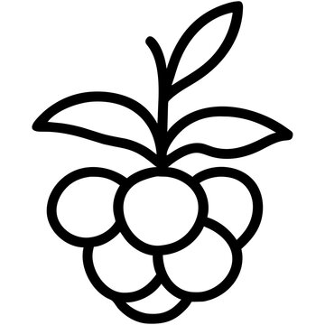 recommend clip art: berry