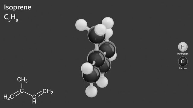 Isoprene (C5H8) is a common volatile organic compound that appears as a colorless liquid. Produced by various plants and animals, its polymers are the primary component of natural rubber. 3D render
