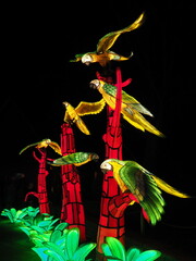 Kleve Tierpark china light