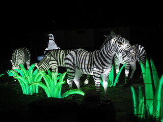 Kleve Tierpark china light