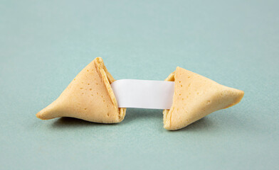 Opened fortune cookie with a empty piece of paper inside, a 