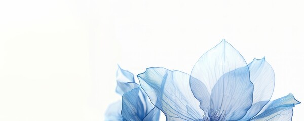 abstract watercolor painting on white background below. place for text, congratulations