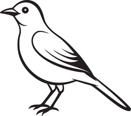 Vector image of a bird on a white background. Black and white illustration.