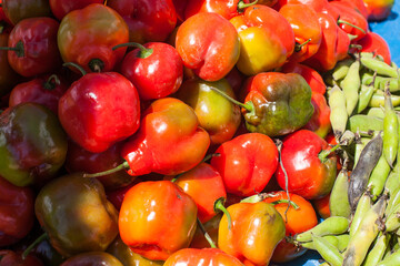 Photograph of Peruvian aji (Rocoto) at a local fair.
