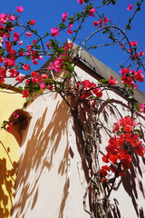 Bright facades in Bosa, Sardinia, Italy	