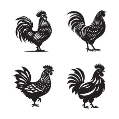  set of chicken silhouette vector illustration