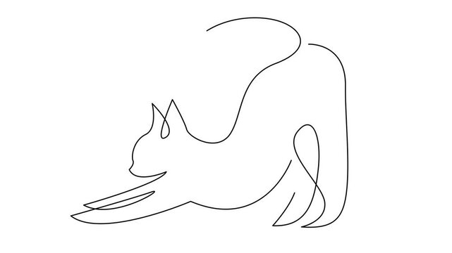 Cat single Line set logo icon design illustration