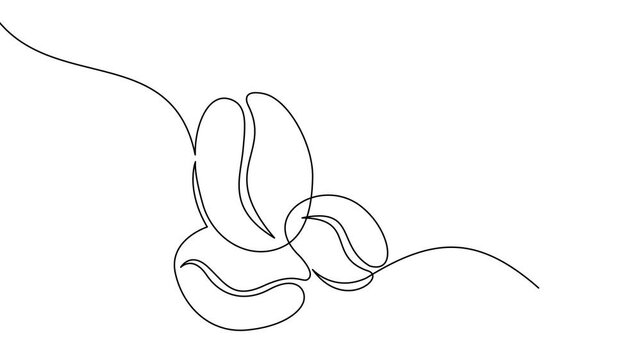 Linear coffee grain background. One continuous line drawing of a coffee bean template