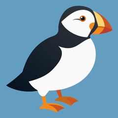 Vibrant Puffin Vector Illustration for Coastal Wildlife Enthusiasts
