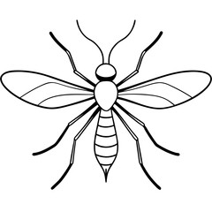 Mosquito Life Cycle Vector Illustration Discover the Fascinating Stages from Egg to Adult
