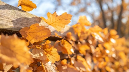 Serene Autumn Vibes - Close-up of Rustic Wooden Fence Adorned with Colorful Fall Leaves, Natural Beauty Concept