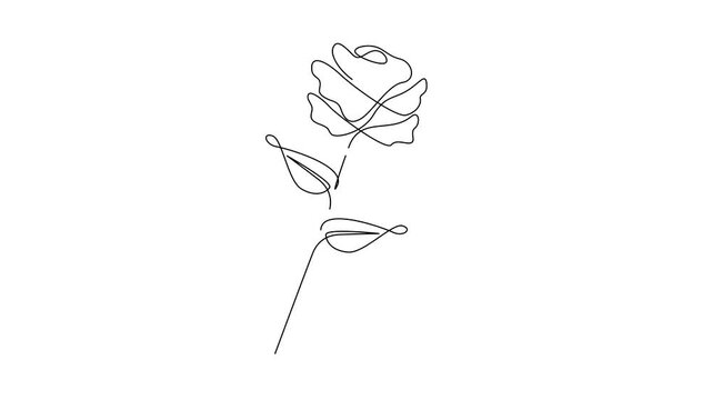 Flower drawing mono line. Continuous line icon on white background. template	
