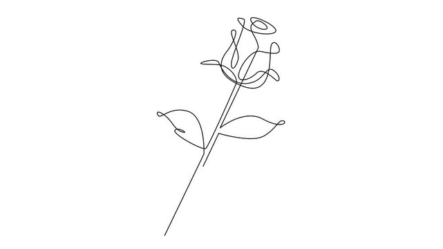 Flower drawing mono line. Continuous line icon on white background. template	
