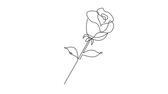 Flower drawing mono line. Continuous line icon on white background. template	
