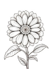 Flower coloring page