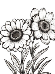 Flower coloring page