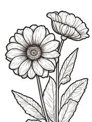 Flower coloring page