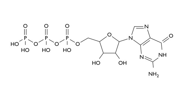 guanosine triphosphate molecule, structural chemical formula, ball-and-stick model, isolated image purine nucleoside triphosphate