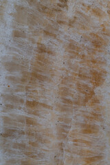 A close-up photo of the cream-colored stone, showing the details of the stone