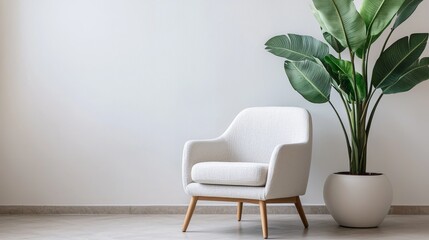 Modern chair and plant in minimalistic interior on white background.