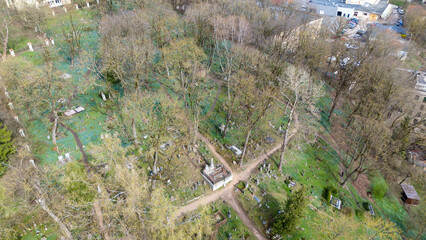 Aerial View of a Tranquil Cemetery with blue flowers