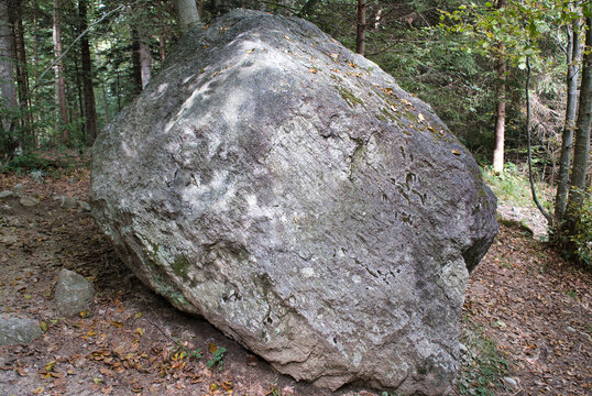 An ancient stone, weathered by thousands of years, rests in Liechtenstein&rsquo;s Schellenberg Forest, embodying timeless history and the enduring whispers of nature&rsquo;s past.