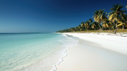 Pristine tropical beach with crystal-clear turquoise waters, white sand, and lush palm trees under a bright blue sky