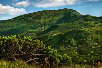 View of Mount Pip Ivan with observatory silhouette, alpine height, dwarf pines, Chornohirsky Range,...