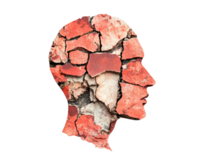 image features profile of human head composed of cracked red and white textures, isolated white background, transparent background.