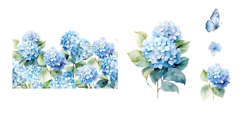 Seamless borders with watercolor blue hydrangea set