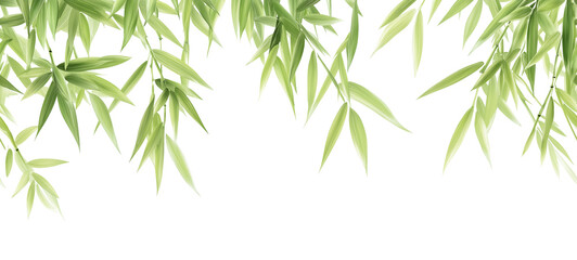Fototapeta premium Seamless Horizontal Falling Bamboo Leaves isolated on transparent background PNG 