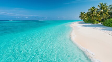 Fototapeta premium Explore this stunning tropical paradise with serene turquoise waters and pristine sandy beaches dotted with palm trees.